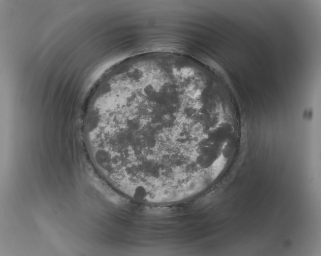 X0000113071019200910091202