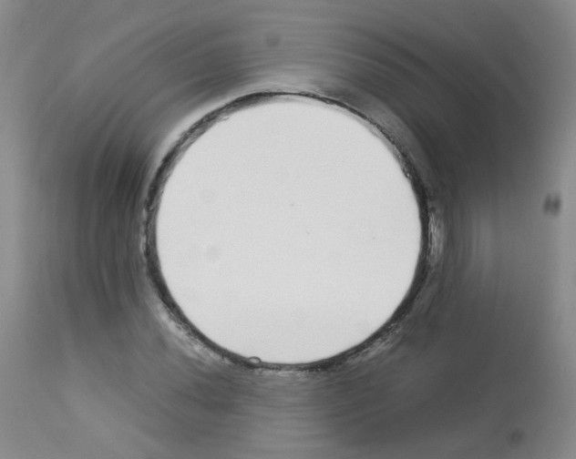 X0000113071020200910091202