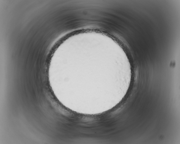 X0000113071021200910091202