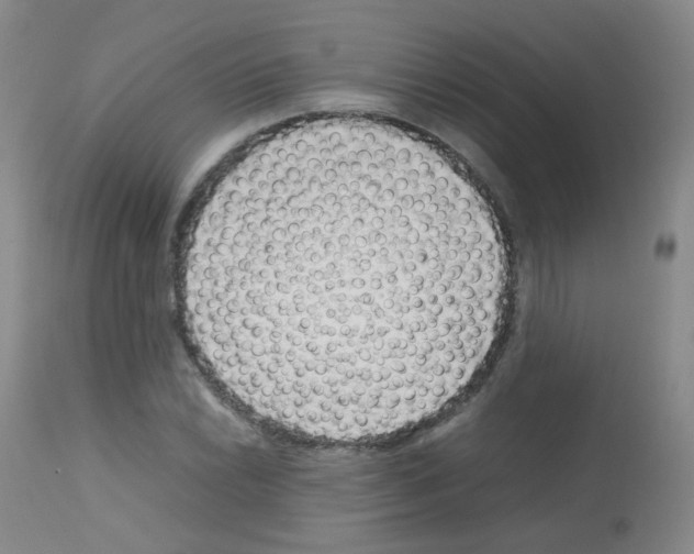 X0000113071022200910091203