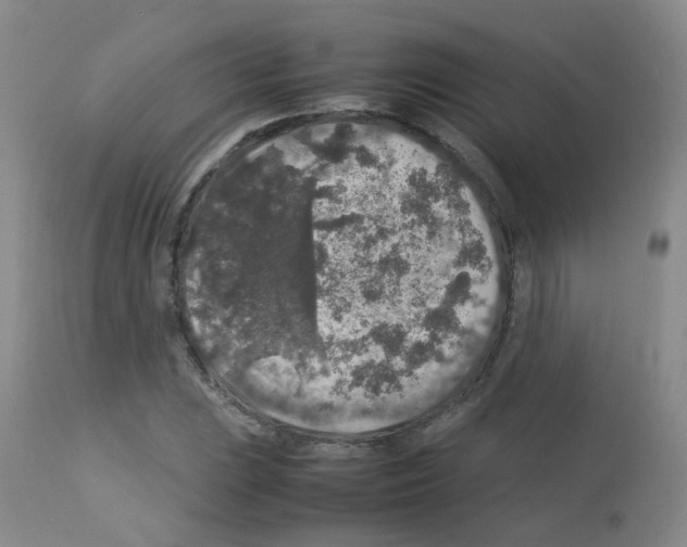 X0000113071023200910091203