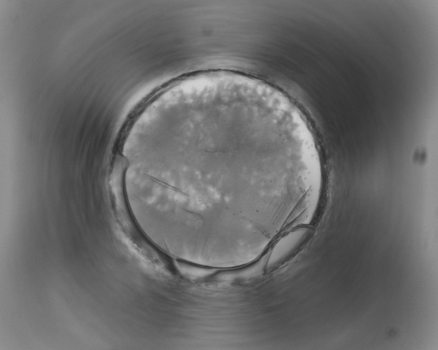 X0000113071024200910091203