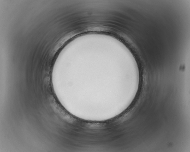 X0000113071025200910091203