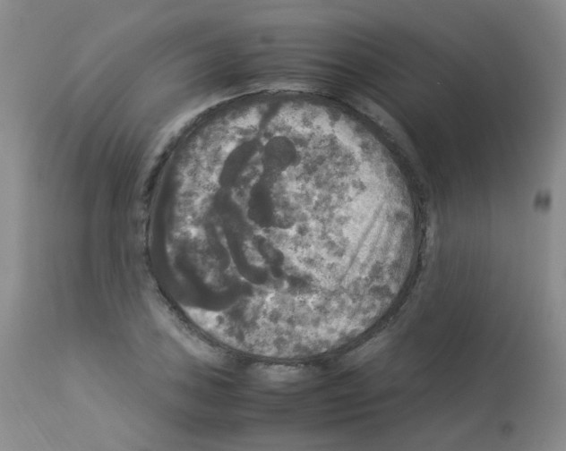 X0000113071027200910091203
