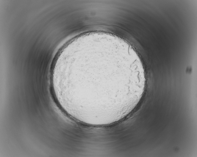 X0000113071028200910091203