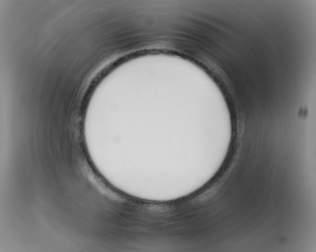 X0000113071029200910091203