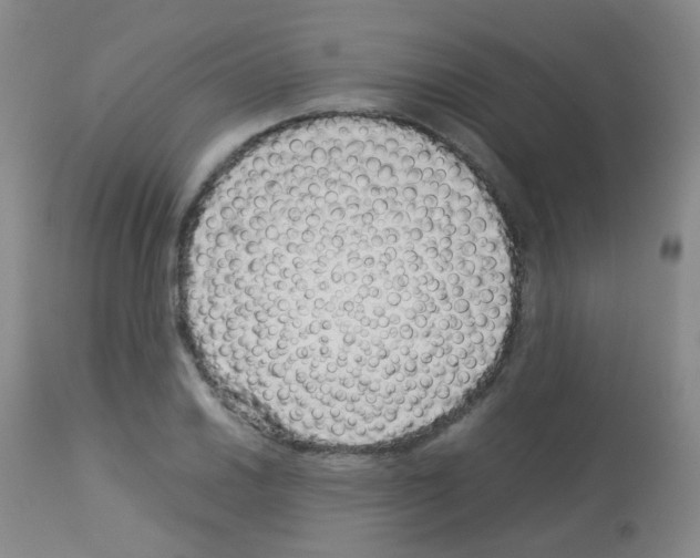 X0000113071030200910091203