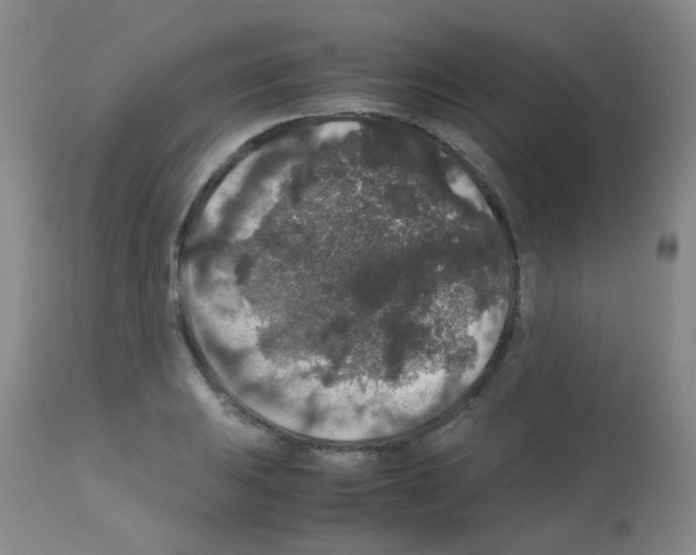 X0000113071031200910091203