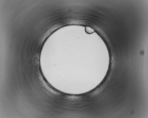 X0000113071033200910091203