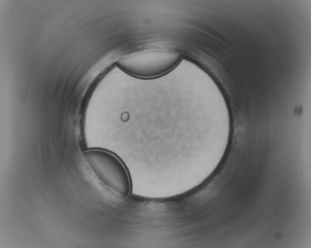 X0000113071034200910091203