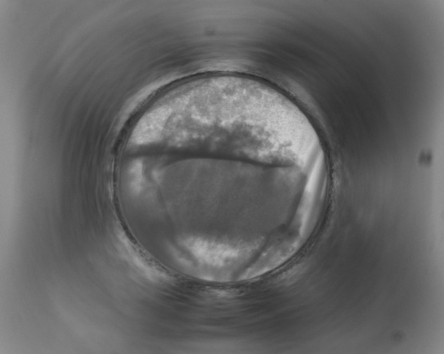 X0000113071035200910091203
