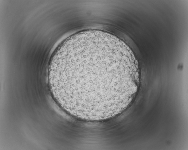 X0000113071036200910091203