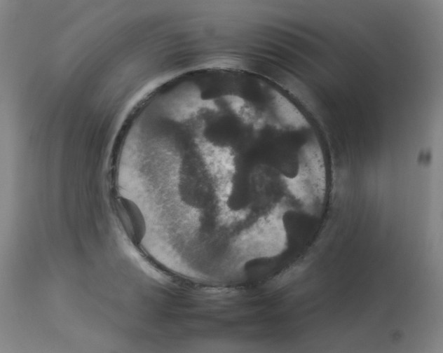 X0000113071037200910091203