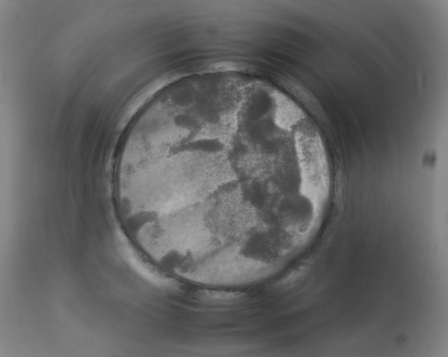 X0000113071039200910091203