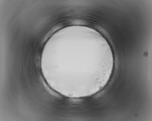 X0000113071041200910091203