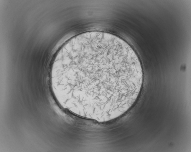 X0000113071042200910091203