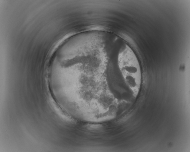 X0000113071043200910091203