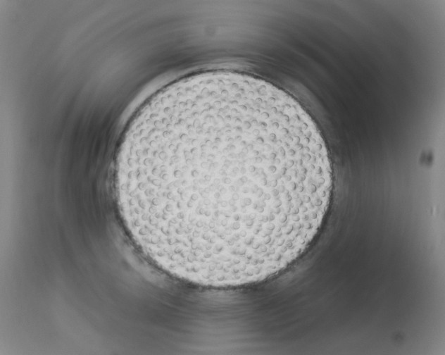 X0000113071044200910091203