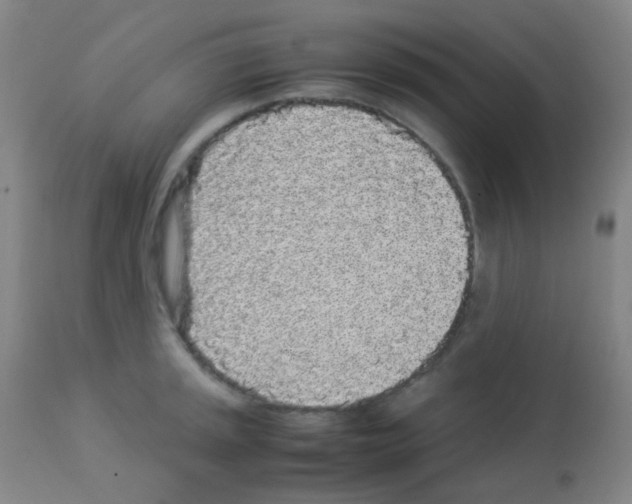 X0000113071045200910091203