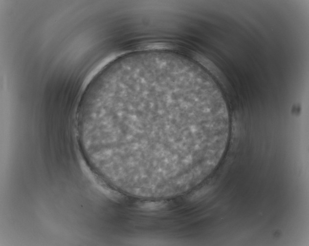 X0000113071047200910091203