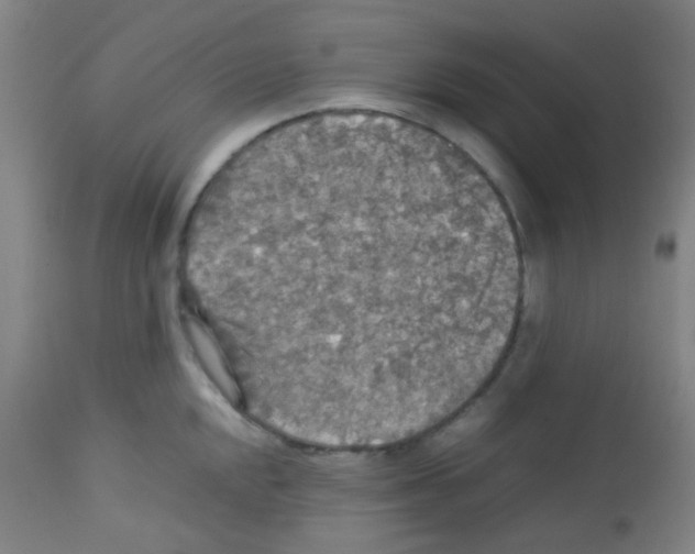 X0000113071048200910091203