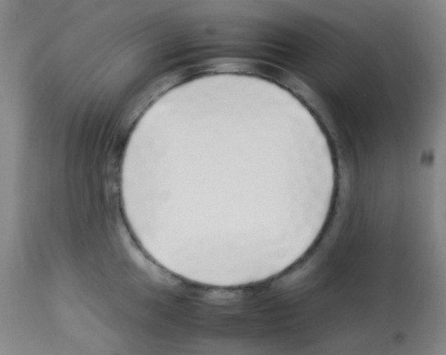 X0000113071049200910091203