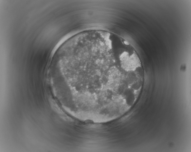 X0000113071052200910091203