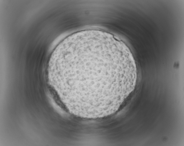 X0000113071054200910091203