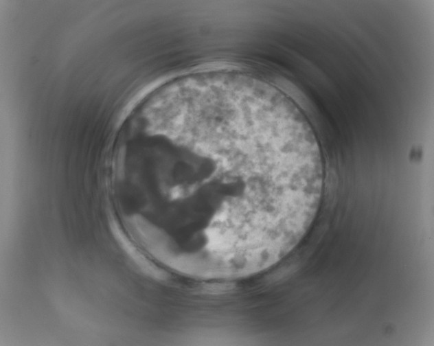X0000113071055200910091203