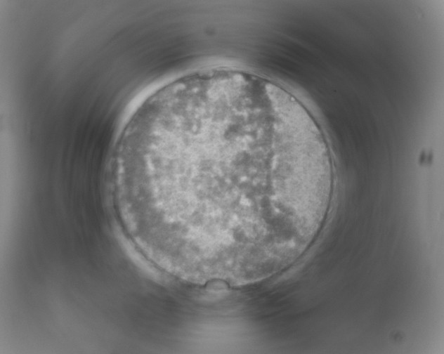X0000113071056200910091203