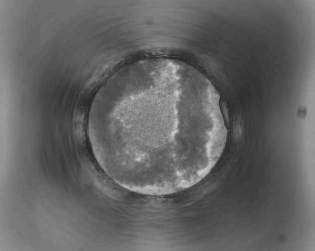 X0000113071060200910091202