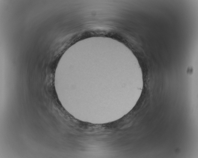 X0000113071061200910091202