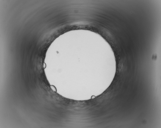 X0000113071062200910091202