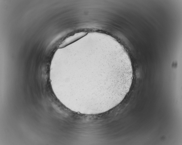 X0000113071064200910091202