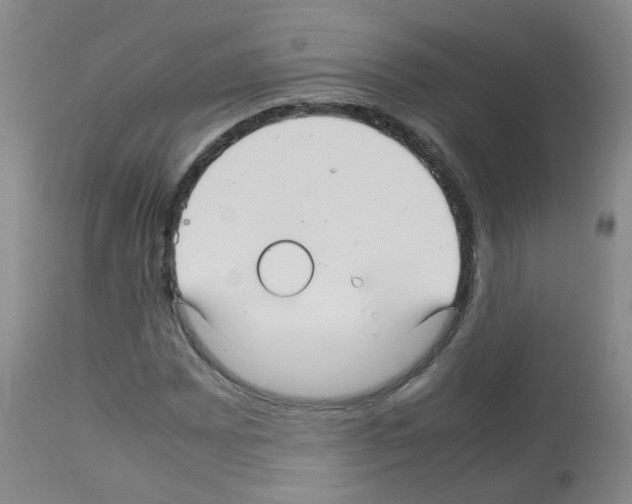 X0000113071065200910091202