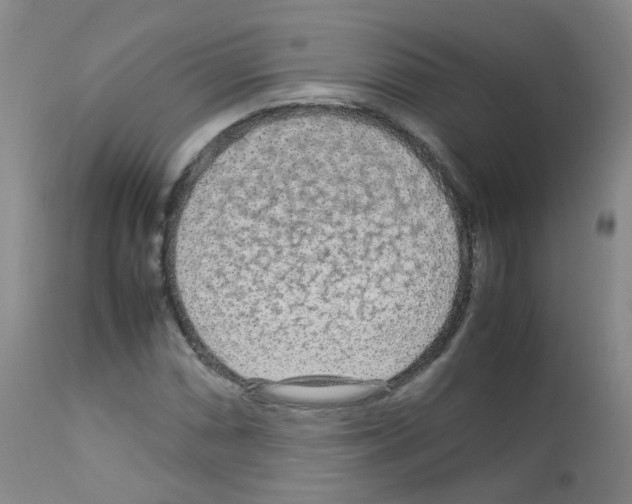 X0000113071066200910091202
