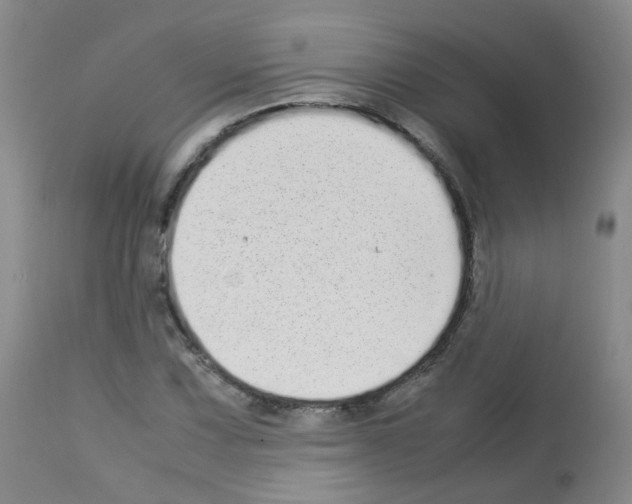 X0000113071067200910091202