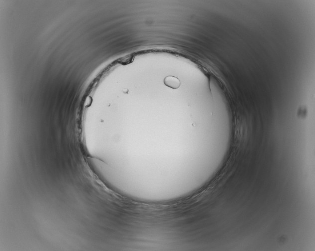 X0000113071068200910091202