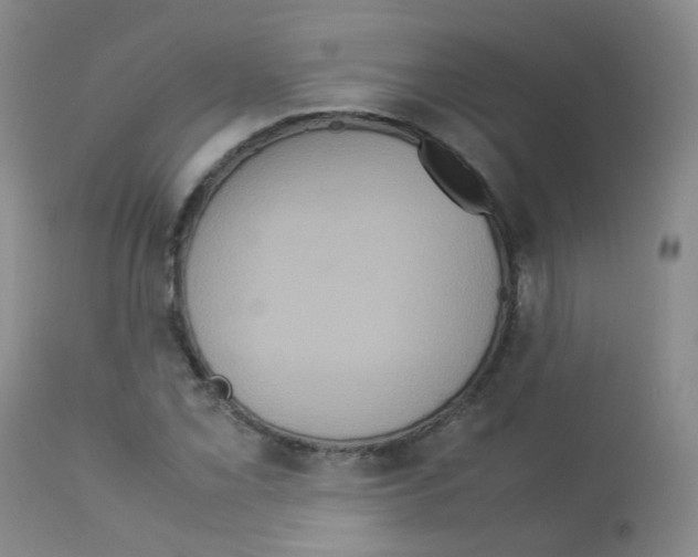 X0000113071069200910091202