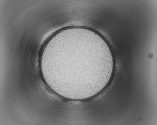 X0000113071070200910091202