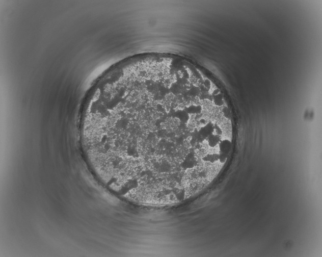 X0000113071071200910091202