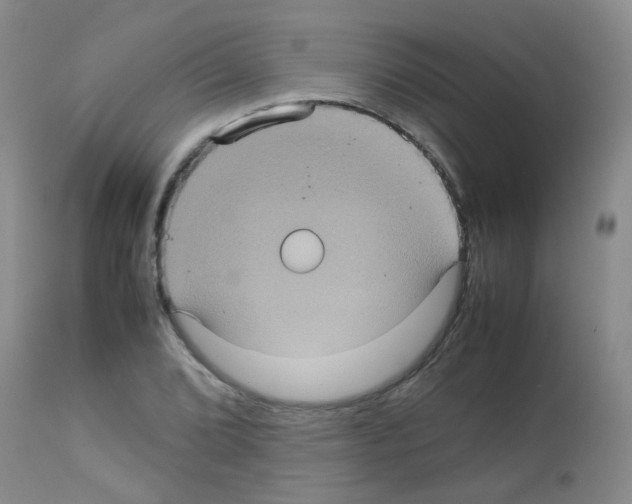 X0000113071072200910091202