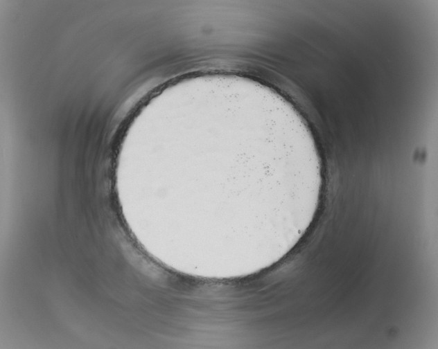 X0000113071075200910091202