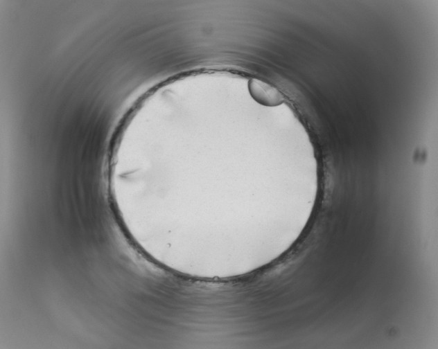 X0000113071076200910091202