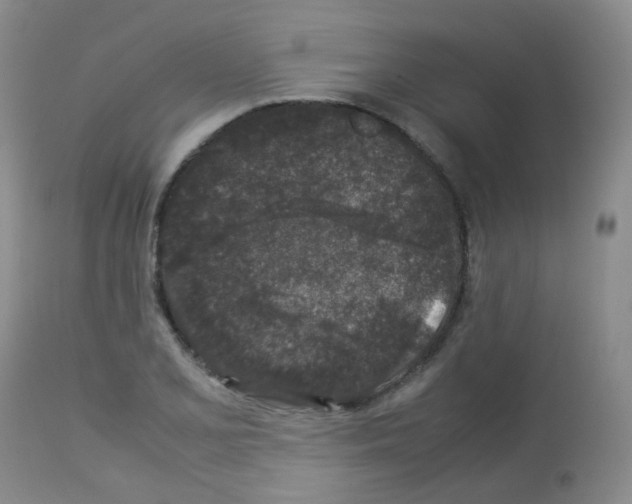 X0000113071077200910091202