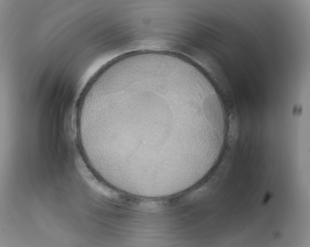 X0000113071078200910091202