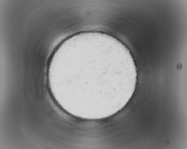 X0000113071079200910091202