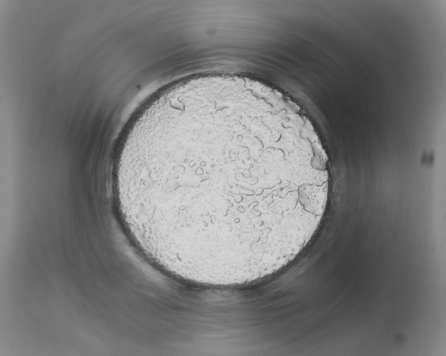 X0000113071083200910091202