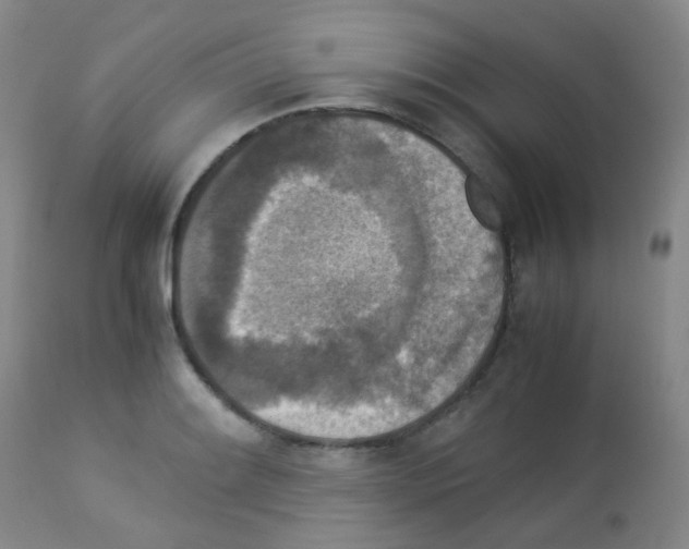 X0000113071084200910091202