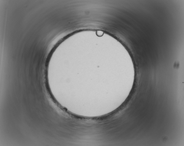 X0000113071085200910091202